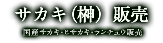 サカキ販売